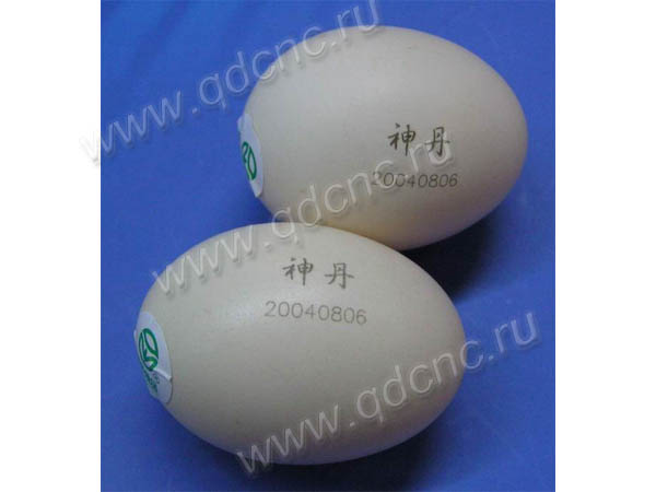 eggshell marking